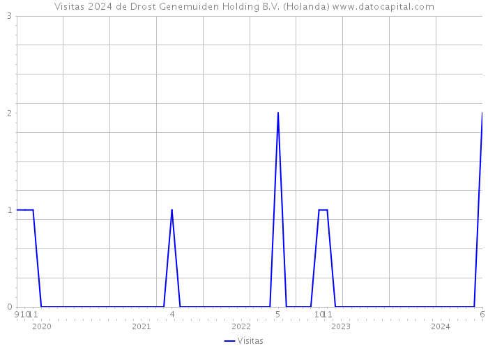 Visitas 2024 de Drost Genemuiden Holding B.V. (Holanda) 