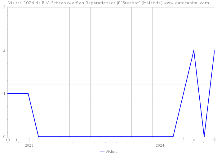 Visitas 2024 de B.V. Scheepswerf en Reparatiebedrijf 