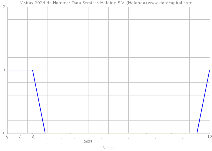 Visitas 2024 de Hammer Data Services Holding B.V. (Holanda) 