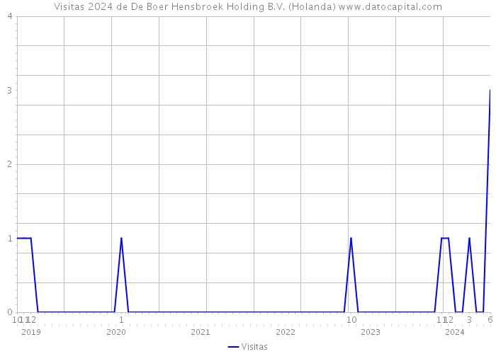 Visitas 2024 de De Boer Hensbroek Holding B.V. (Holanda) 