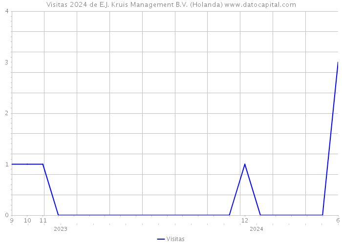 Visitas 2024 de E.J. Kruis Management B.V. (Holanda) 