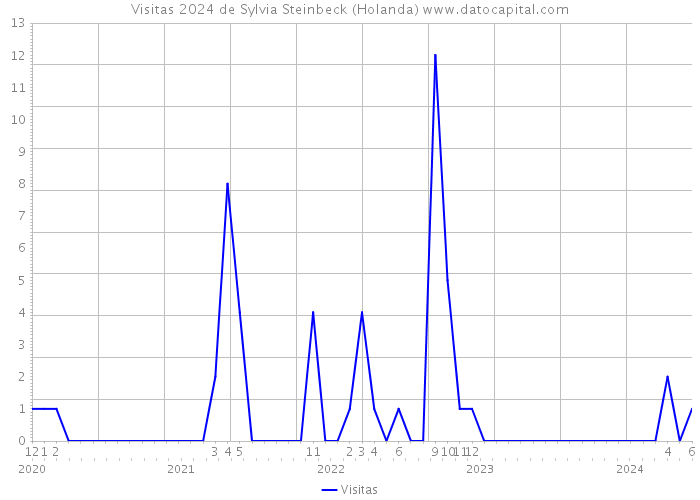 Visitas 2024 de Sylvia Steinbeck (Holanda) 