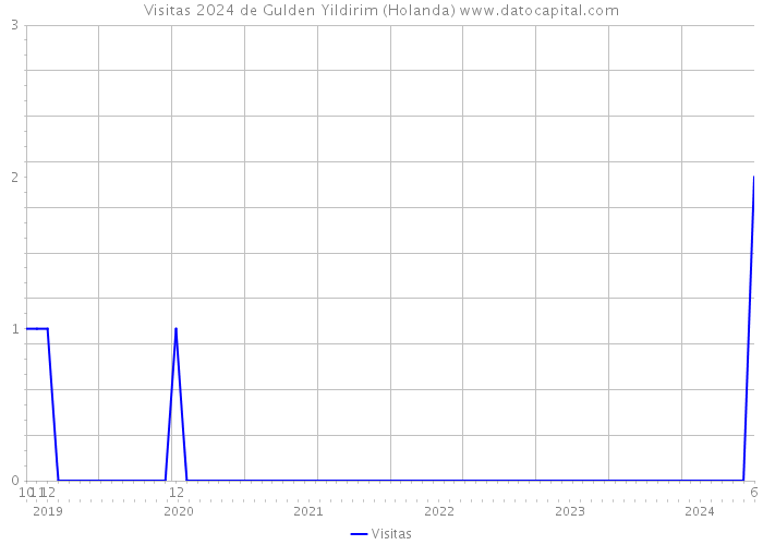 Visitas 2024 de Gulden Yildirim (Holanda) 