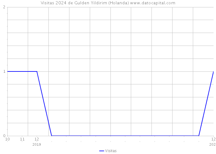 Visitas 2024 de Gulden Yildirim (Holanda) 