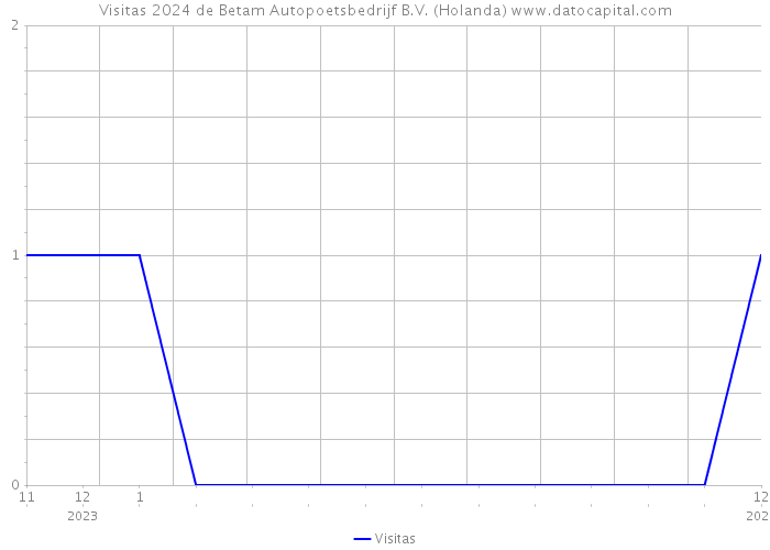 Visitas 2024 de Betam Autopoetsbedrijf B.V. (Holanda) 