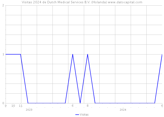 Visitas 2024 de Dutch Medical Services B.V. (Holanda) 