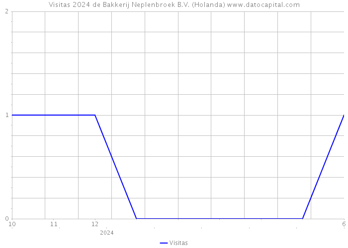 Visitas 2024 de Bakkerij Neplenbroek B.V. (Holanda) 