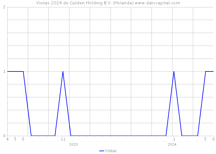 Visitas 2024 de Gulden Holding B.V. (Holanda) 