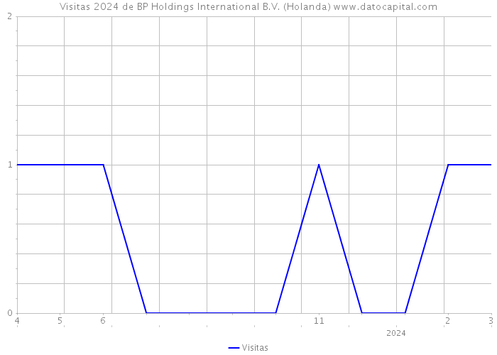 Visitas 2024 de BP Holdings International B.V. (Holanda) 