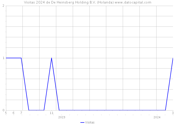 Visitas 2024 de De Heinsberg Holding B.V. (Holanda) 