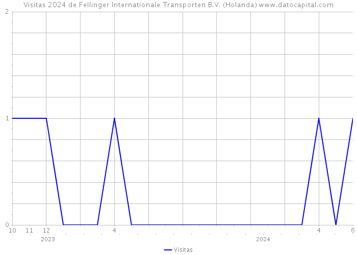 Visitas 2024 de Fellinger Internationale Transporten B.V. (Holanda) 