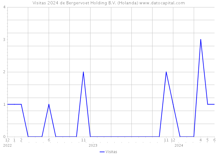 Visitas 2024 de Bergervoet Holding B.V. (Holanda) 