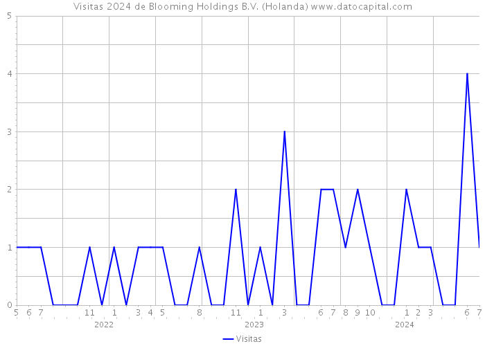 Visitas 2024 de Blooming Holdings B.V. (Holanda) 