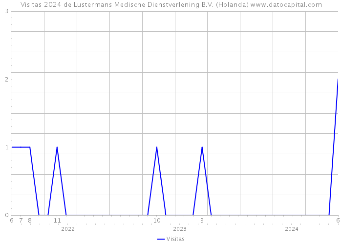 Visitas 2024 de Lustermans Medische Dienstverlening B.V. (Holanda) 