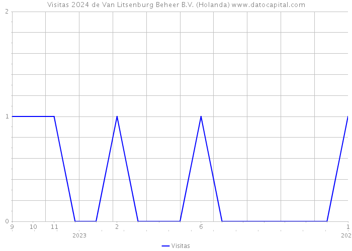 Visitas 2024 de Van Litsenburg Beheer B.V. (Holanda) 