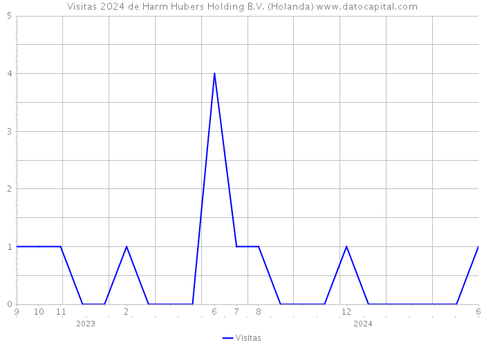 Visitas 2024 de Harm Hubers Holding B.V. (Holanda) 