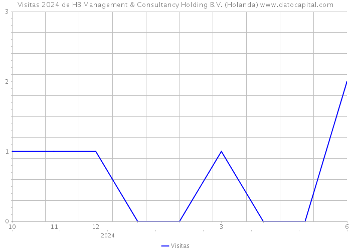 Visitas 2024 de HB Management & Consultancy Holding B.V. (Holanda) 