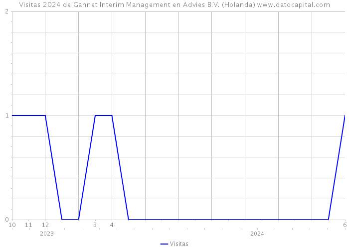 Visitas 2024 de Gannet Interim Management en Advies B.V. (Holanda) 