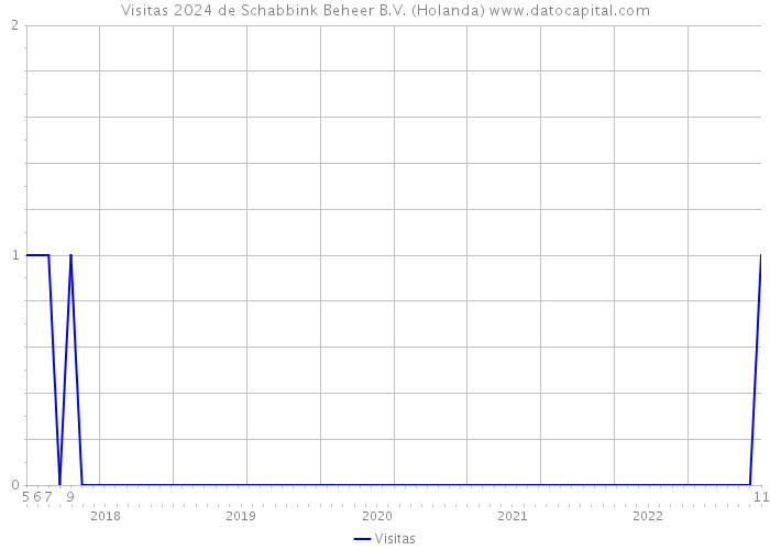 Visitas 2024 de Schabbink Beheer B.V. (Holanda) 