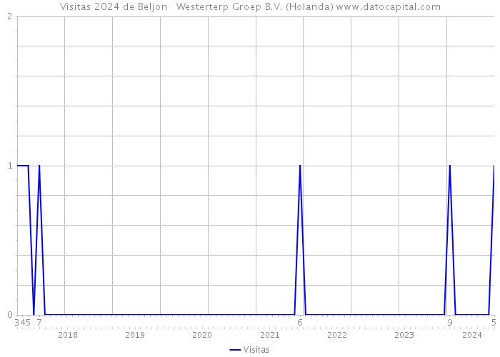 Visitas 2024 de Beljon + Westerterp Groep B.V. (Holanda) 