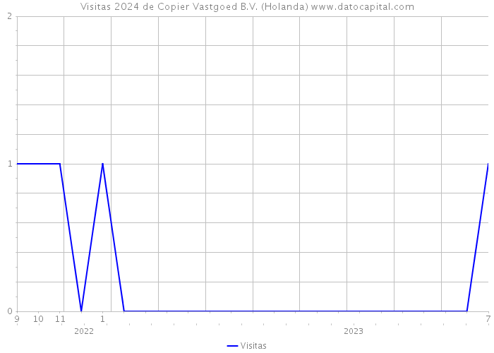 Visitas 2024 de Copier Vastgoed B.V. (Holanda) 