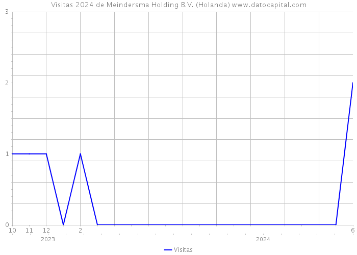Visitas 2024 de Meindersma Holding B.V. (Holanda) 