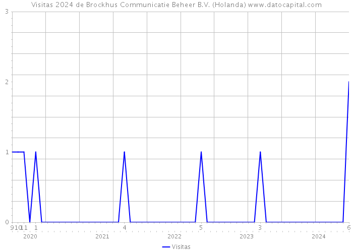 Visitas 2024 de Brockhus Communicatie Beheer B.V. (Holanda) 