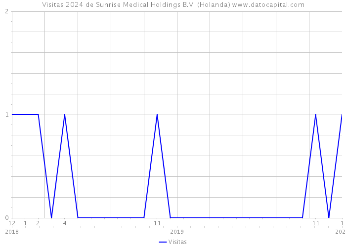 Visitas 2024 de Sunrise Medical Holdings B.V. (Holanda) 