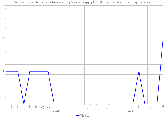 Visitas 2024 de Horeca Investering Maatschappij B.V. (Holanda) 