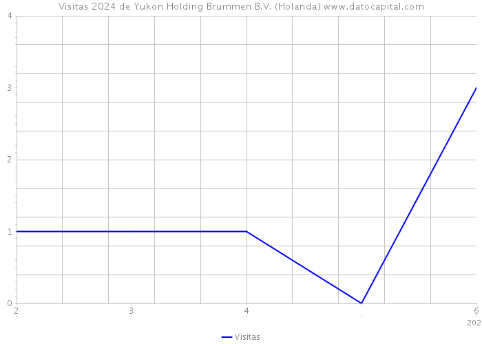 Visitas 2024 de Yukon Holding Brummen B.V. (Holanda) 