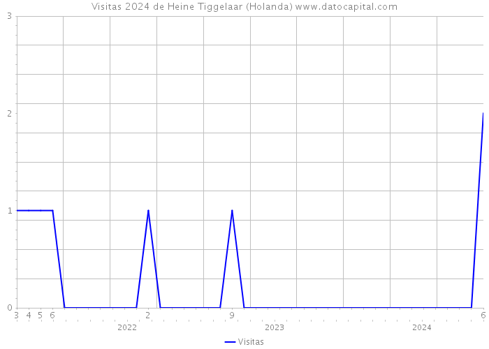 Visitas 2024 de Heine Tiggelaar (Holanda) 