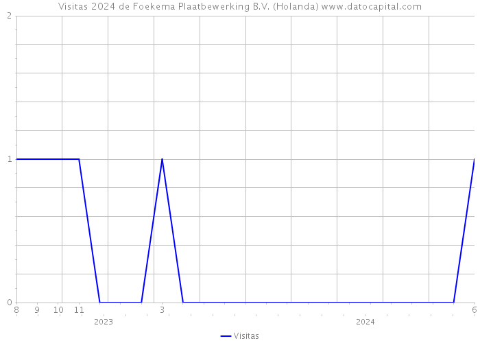 Visitas 2024 de Foekema Plaatbewerking B.V. (Holanda) 