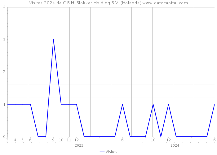 Visitas 2024 de C.B.H. Blokker Holding B.V. (Holanda) 