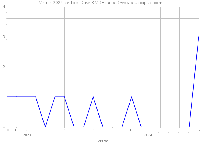 Visitas 2024 de Top-Drive B.V. (Holanda) 