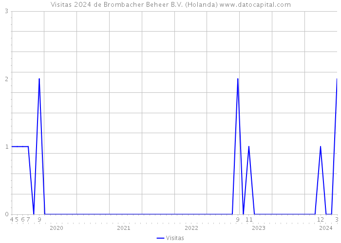Visitas 2024 de Brombacher Beheer B.V. (Holanda) 
