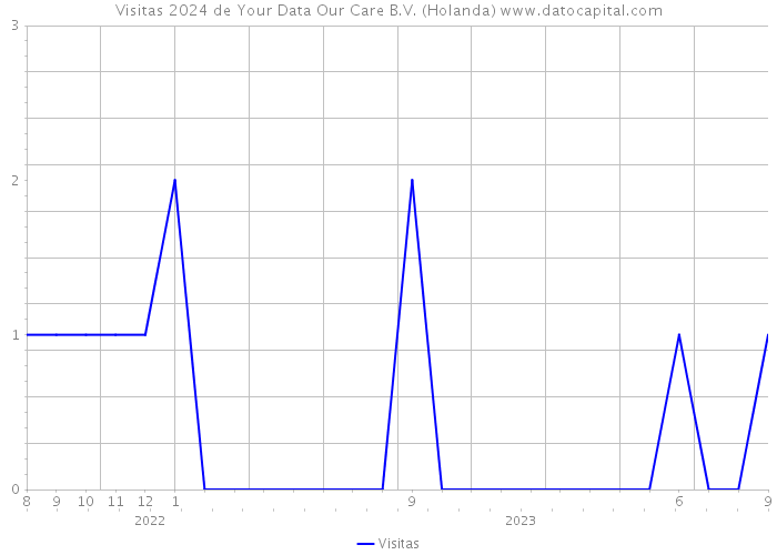 Visitas 2024 de Your Data Our Care B.V. (Holanda) 