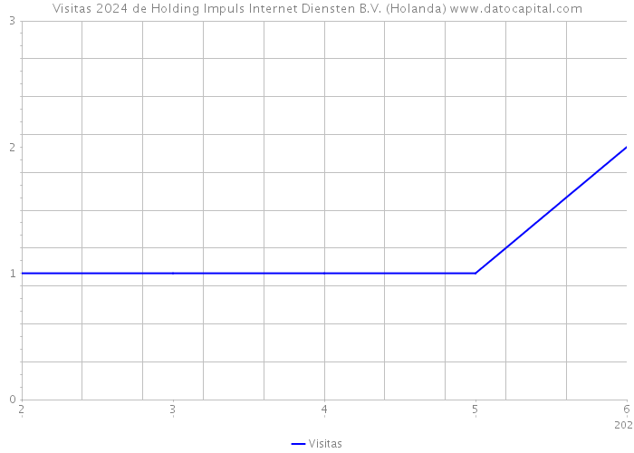 Visitas 2024 de Holding Impuls Internet Diensten B.V. (Holanda) 
