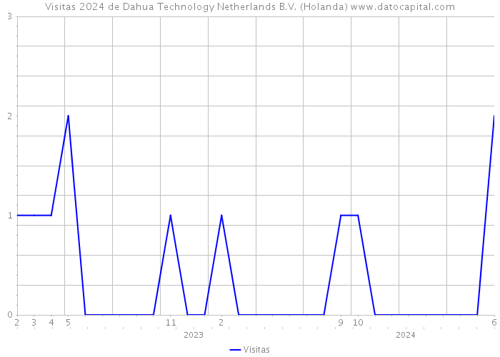 Visitas 2024 de Dahua Technology Netherlands B.V. (Holanda) 