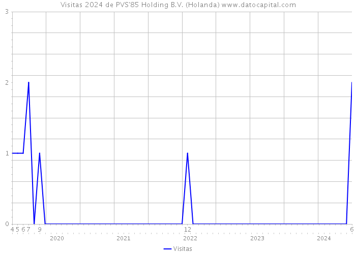 Visitas 2024 de PVS'85 Holding B.V. (Holanda) 