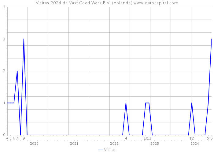 Visitas 2024 de Vast Goed Werk B.V. (Holanda) 