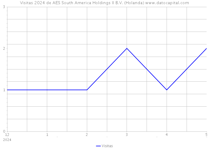 Visitas 2024 de AES South America Holdings II B.V. (Holanda) 
