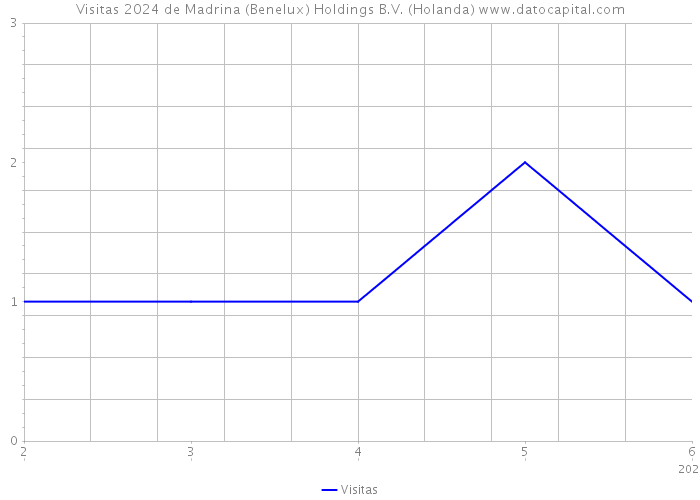 Visitas 2024 de Madrina (Benelux) Holdings B.V. (Holanda) 