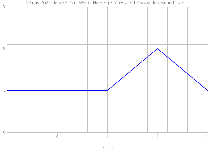 Visitas 2024 de VAA Data Works Holding B.V. (Holanda) 