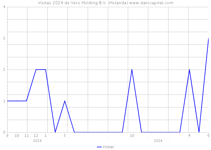 Visitas 2024 de Vero Holding B.V. (Holanda) 