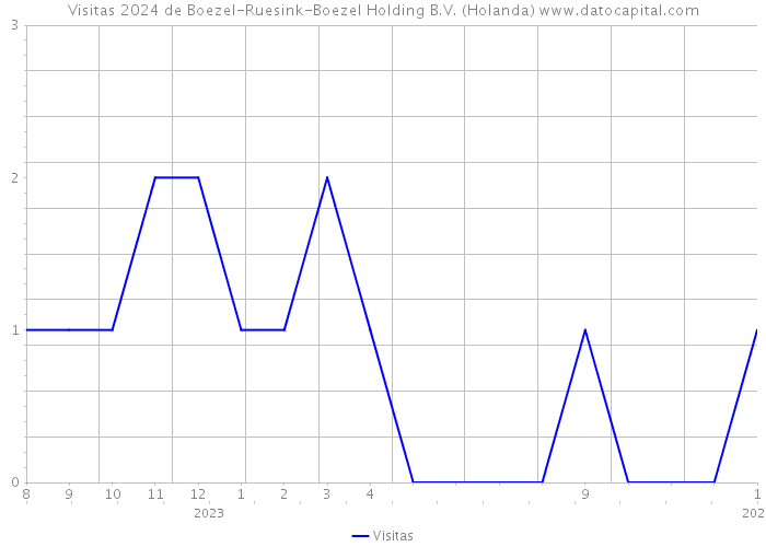 Visitas 2024 de Boezel-Ruesink-Boezel Holding B.V. (Holanda) 