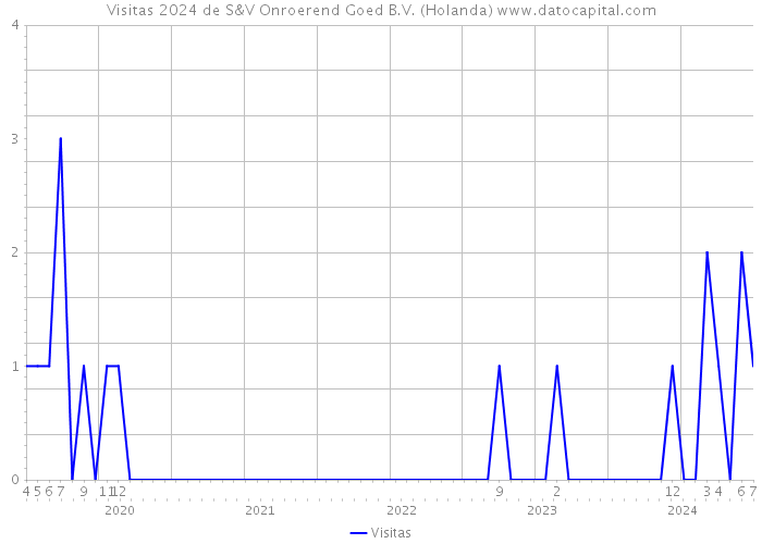 Visitas 2024 de S&V Onroerend Goed B.V. (Holanda) 