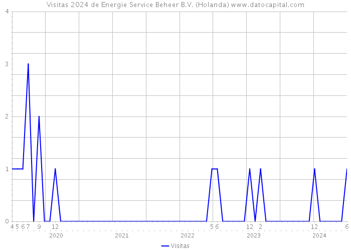 Visitas 2024 de Energie Service Beheer B.V. (Holanda) 