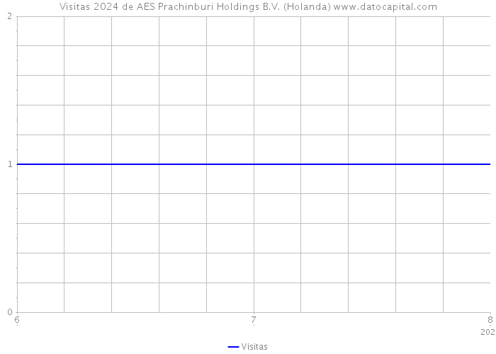 Visitas 2024 de AES Prachinburi Holdings B.V. (Holanda) 