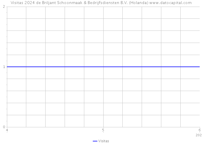 Visitas 2024 de Briljant Schoonmaak & Bedrijfsdiensten B.V. (Holanda) 