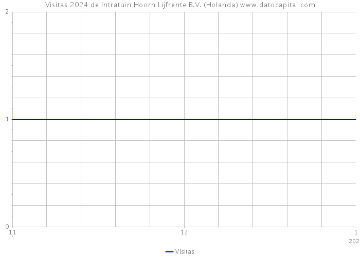 Visitas 2024 de Intratuin Hoorn Lijfrente B.V. (Holanda) 